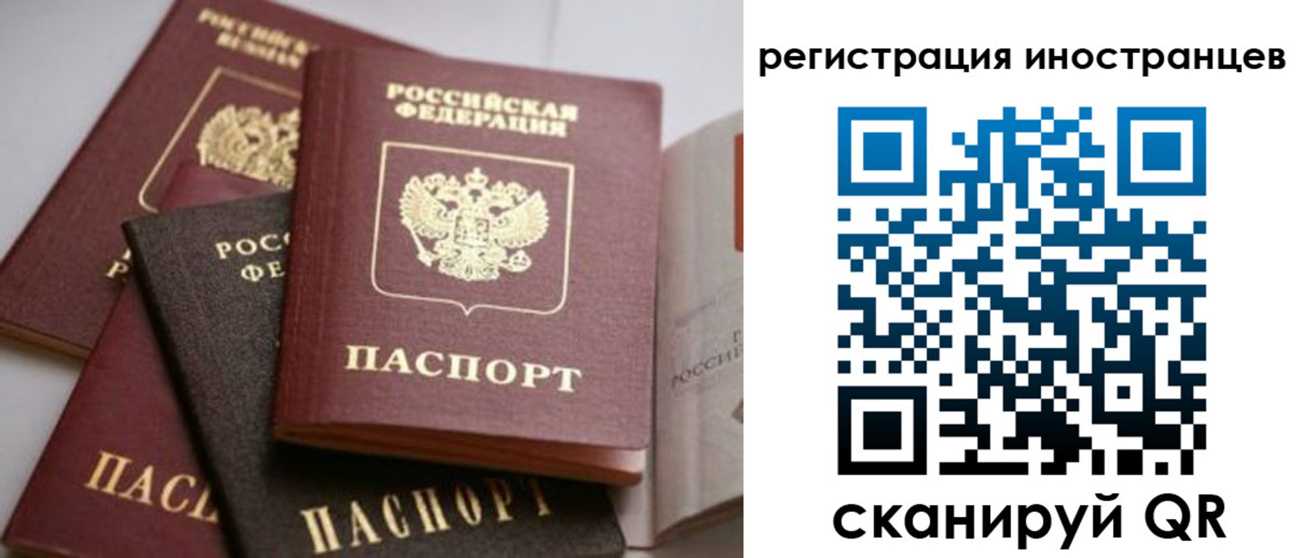 форма 3 в Нелидово