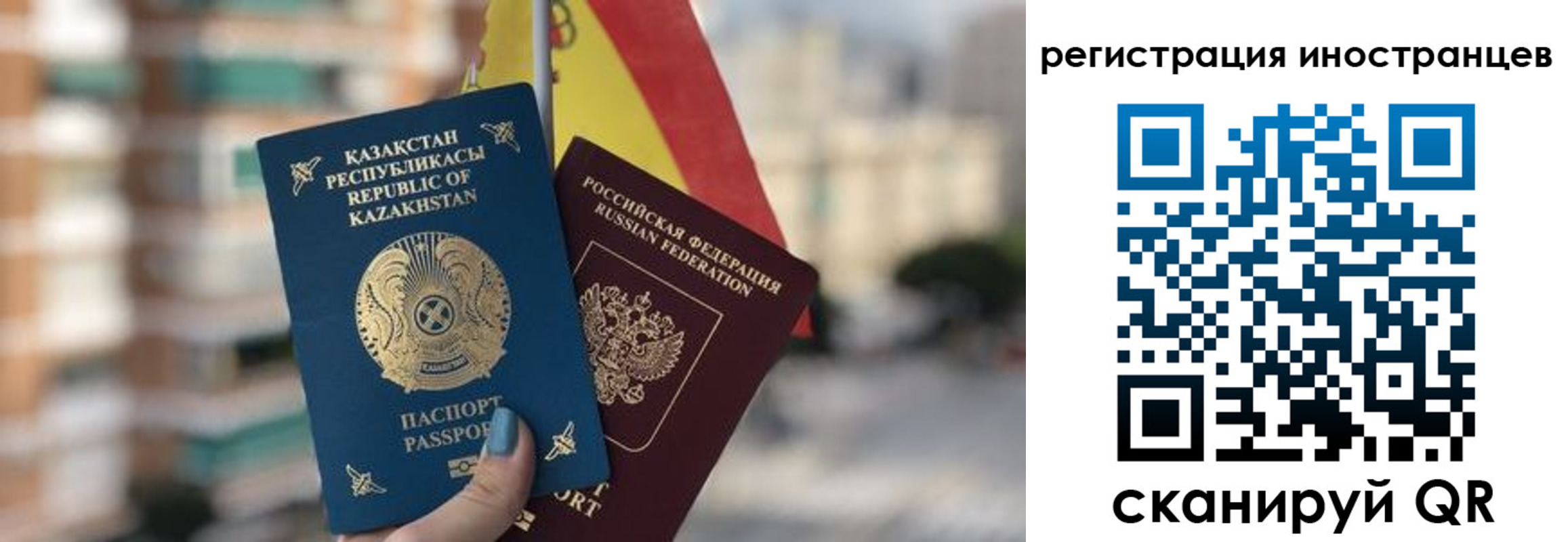 прописка паспорт в Нелидово